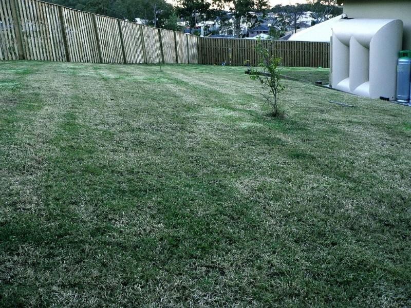 Upper Coomera QLD 4209