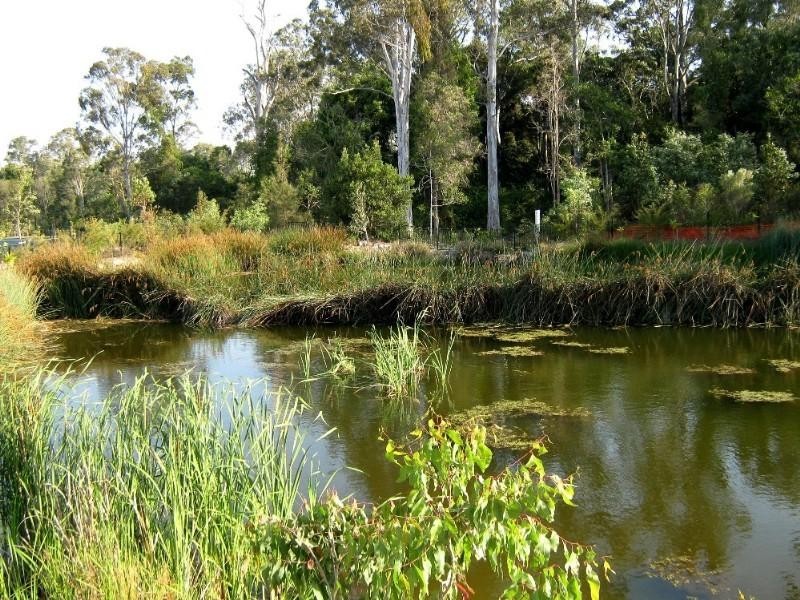 Upper Coomera QLD 4209