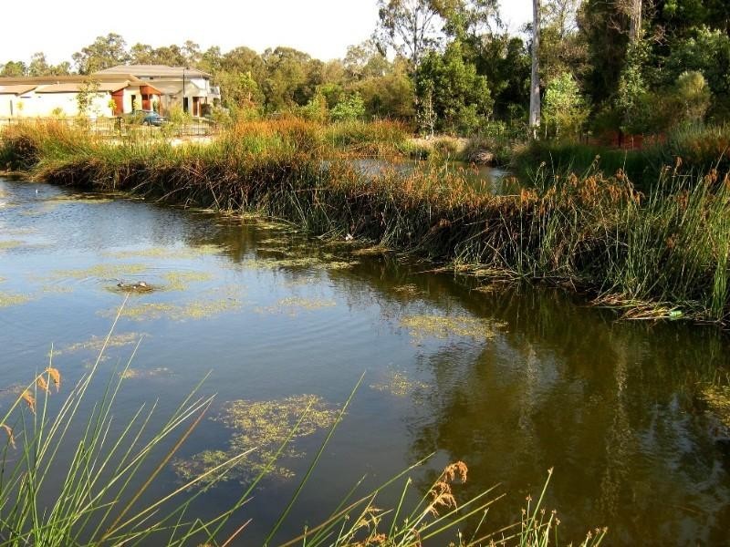 Upper Coomera QLD 4209