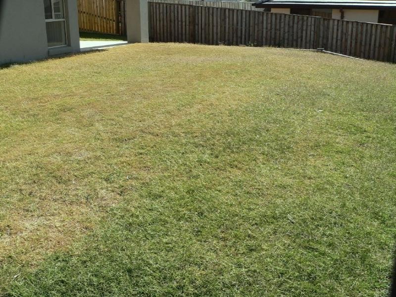 Upper Coomera QLD 4209