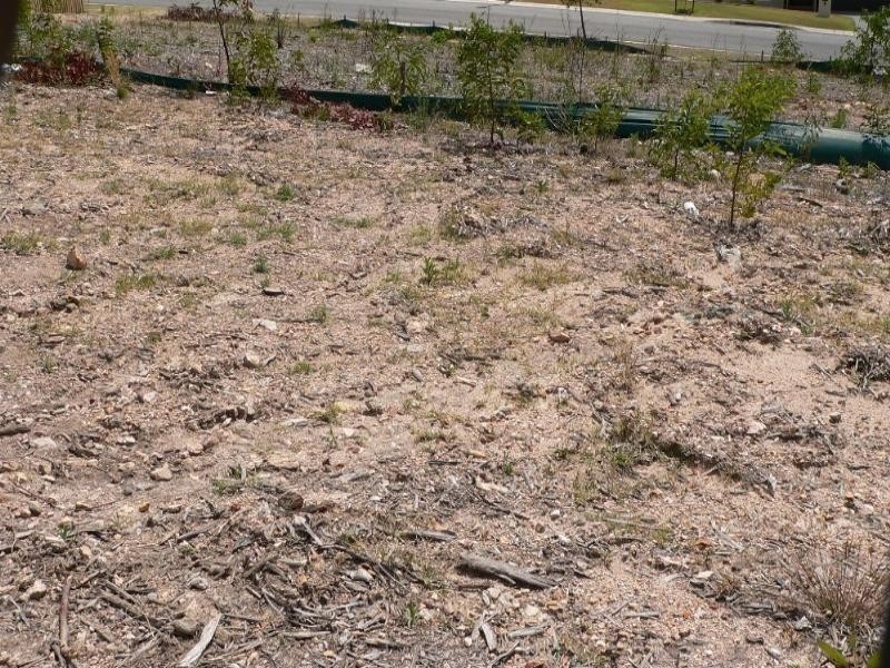 Upper Coomera QLD 4209
