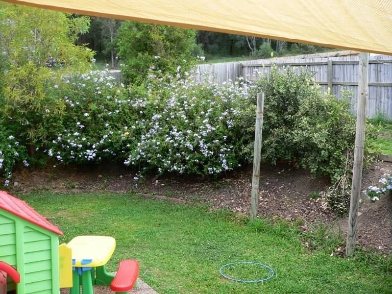 Upper Coomera QLD 4209