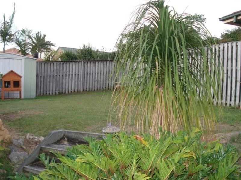 66 Galapagos Way, Pacific Pines QLD 4211