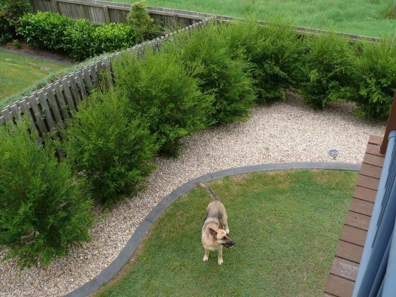 22 Appollo Place, Oxenford QLD 4210