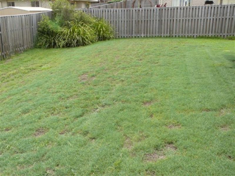 22 Melissa Street, Upper Coomera QLD 4209