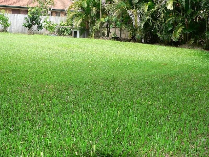 Upper Coomera QLD 4209