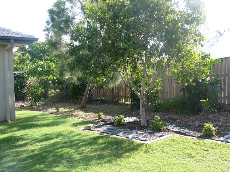 7 Nandina Court, Upper Coomera QLD 4209