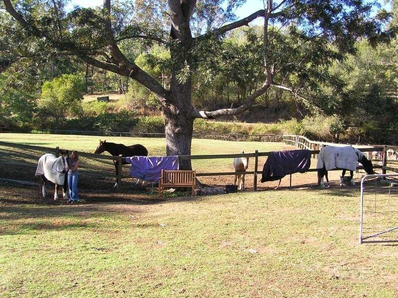 618 Gold Coast Springbrook Road, Mudgeeraba QLD 4213