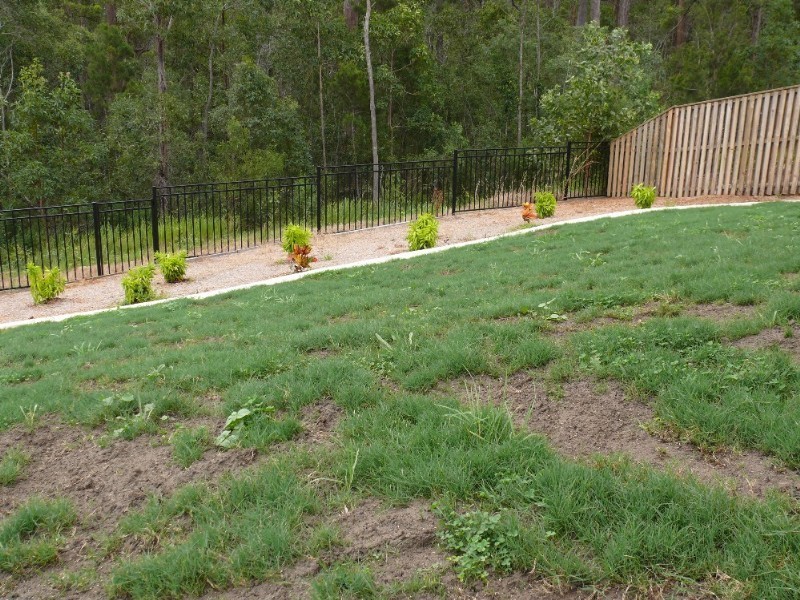 Upper Coomera QLD 4209