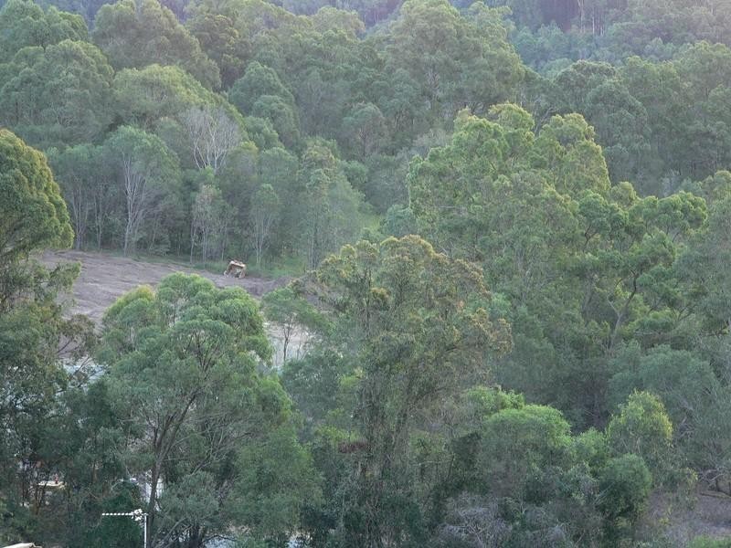 Upper Coomera QLD 4209