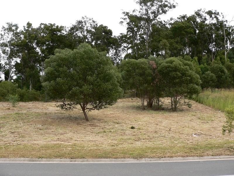 71 Bluetail Crescent, Upper Coomera QLD 4209