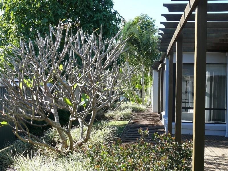 1 Thames Place, Oxenford QLD 4210