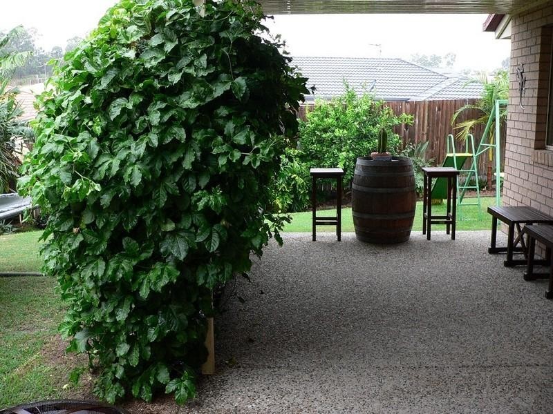 11 Jaxson Terrace, Pimpama QLD 4209