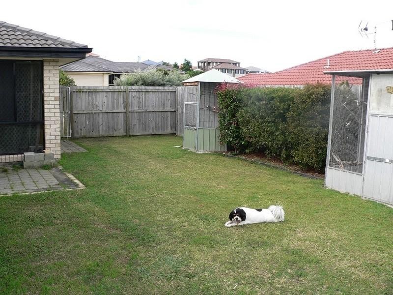 Upper Coomera QLD 4209