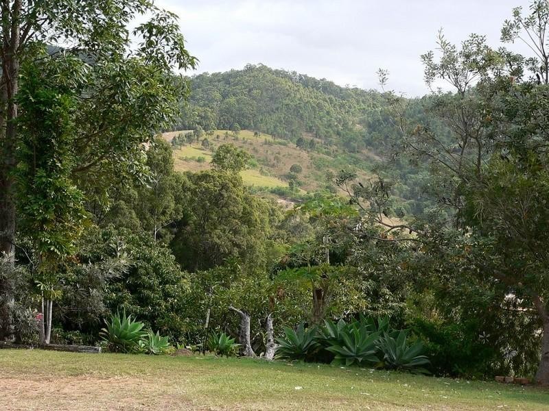 Willow Vale QLD 4209