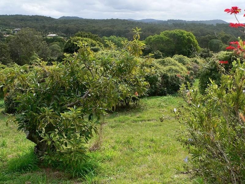 Willow Vale QLD 4209