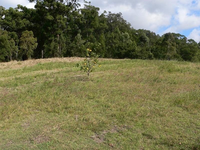 Willow Vale QLD 4209