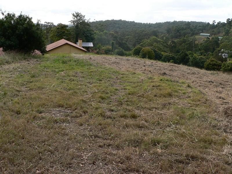 Willow Vale QLD 4209