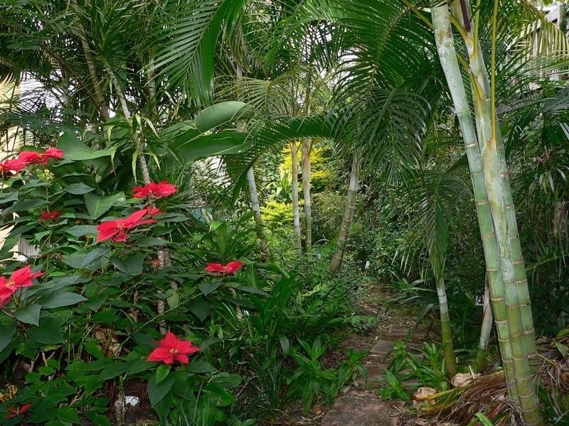 Runaway Bay QLD 4216