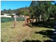 19 Elevation Drive, Wongawallan QLD 4210