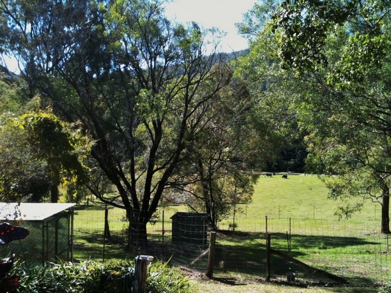 19 Elevation Drive, Wongawallan QLD 4210