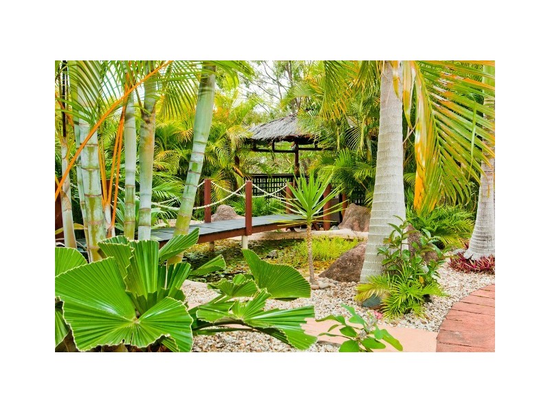 13 Armidale Crescent, Helensvale QLD 4212