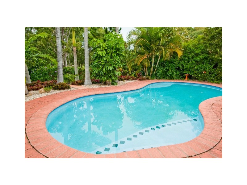 13 Armidale Crescent, Helensvale QLD 4212