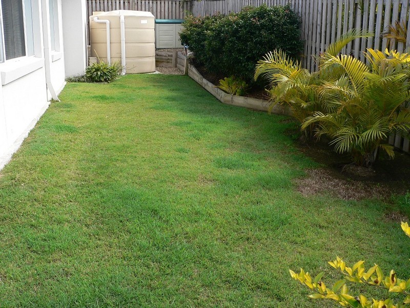 16 Greendragon Crescent, Upper Coomera QLD 4209