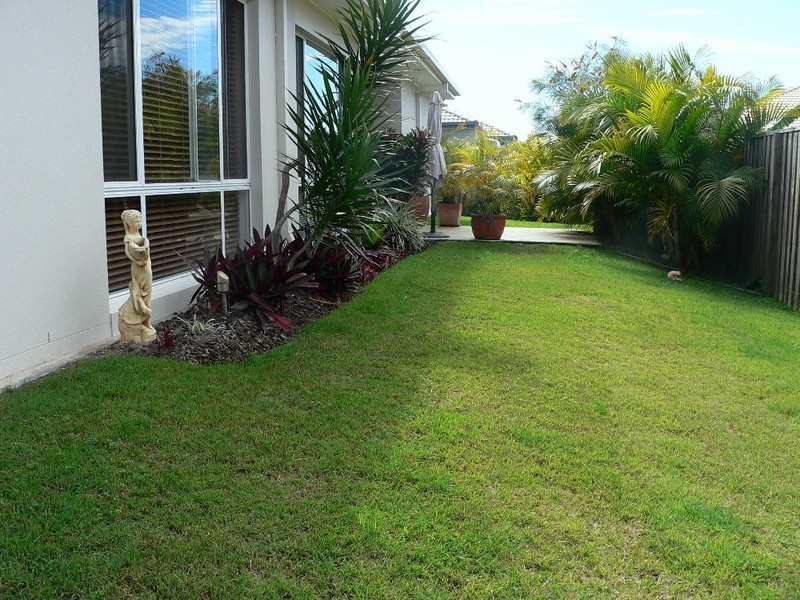 16 Greendragon Crescent, Upper Coomera QLD 4209