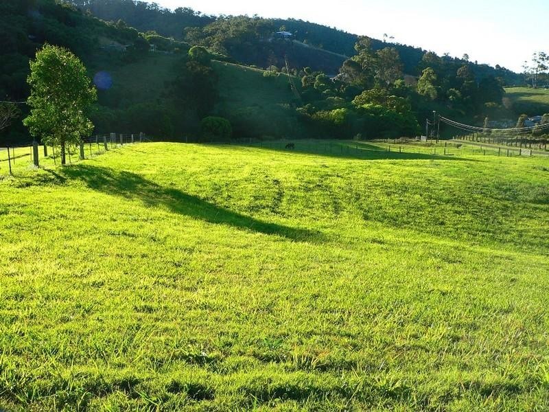 359A Ruffles Road, Willow Vale QLD 4209