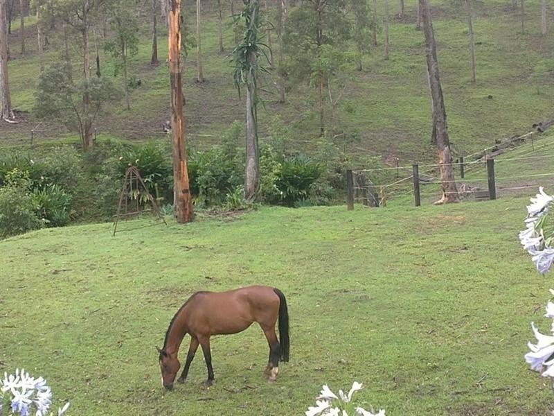 Willow Vale QLD 4209