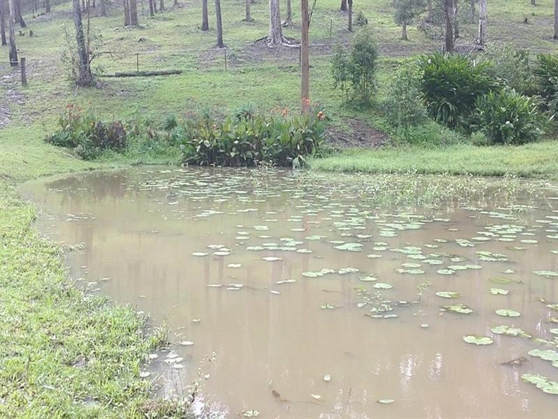 Willow Vale QLD 4209