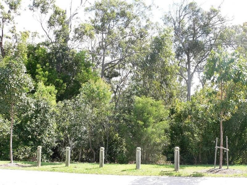 20 Santana Road, Coomera QLD 4209