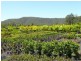 38 Clagiraba Road, Clagiraba QLD 4211