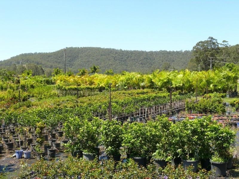 38 Clagiraba Road, Clagiraba QLD 4211