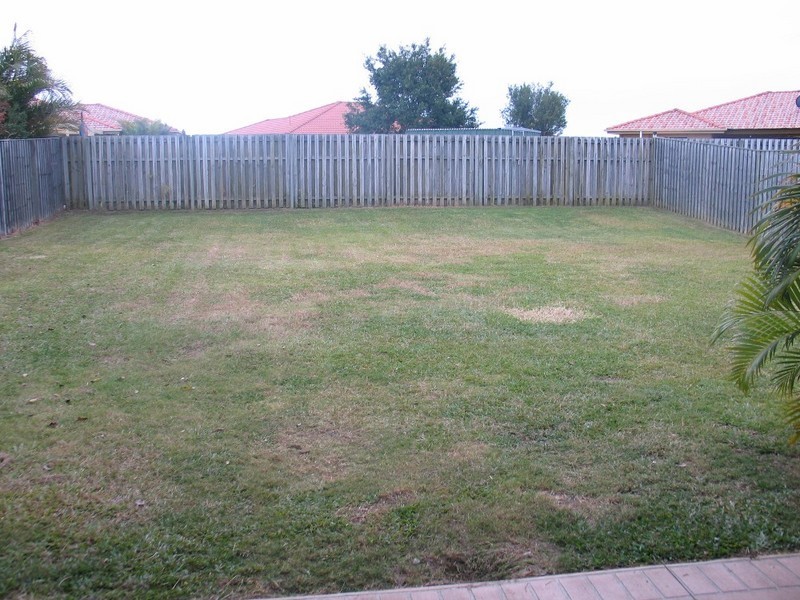 37 Rivermeadows Drive, Upper Coomera QLD 4209