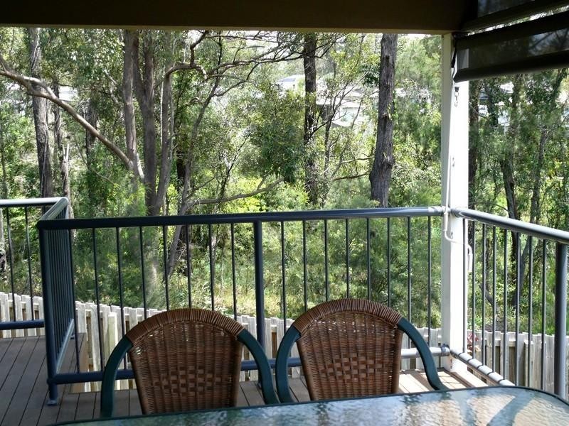 3 Calypso Court, Oxenford QLD 4210