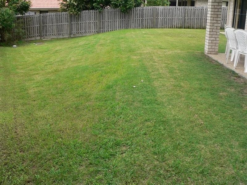 3 Reagan Close, Pimpama QLD 4209