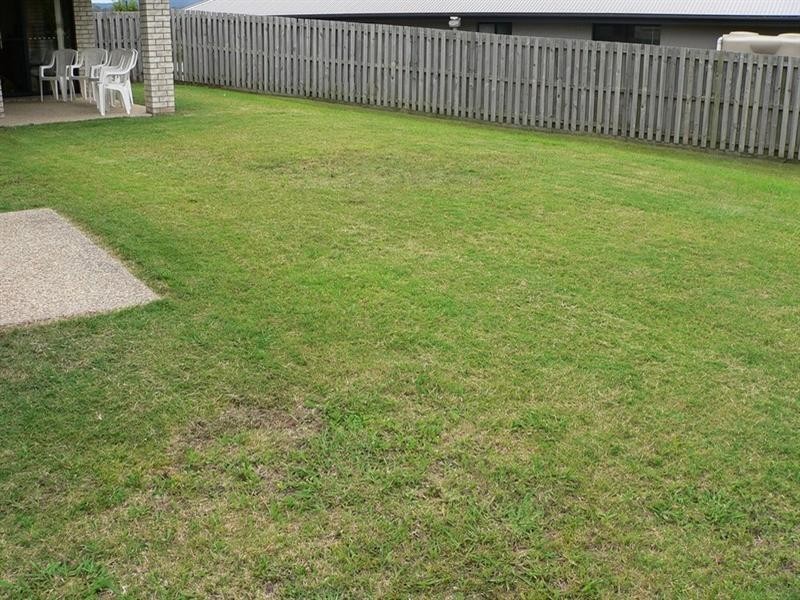 3 Reagan Close, Pimpama QLD 4209