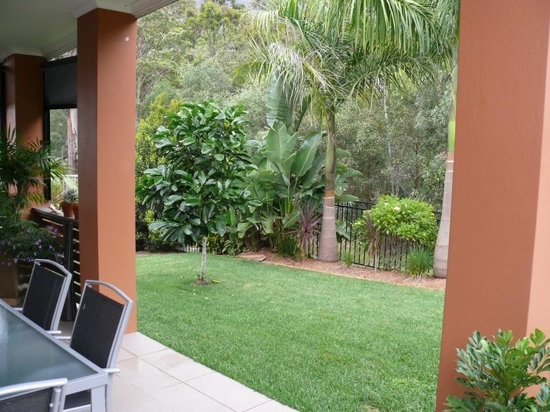 31 Waterclover Drive, Upper Coomera QLD 4209