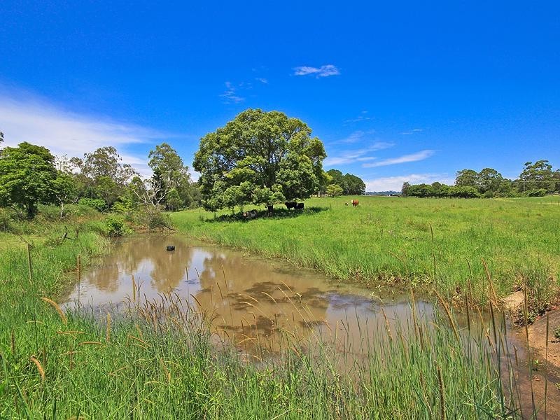 34 Ruffles Road, Willow Vale QLD 4209