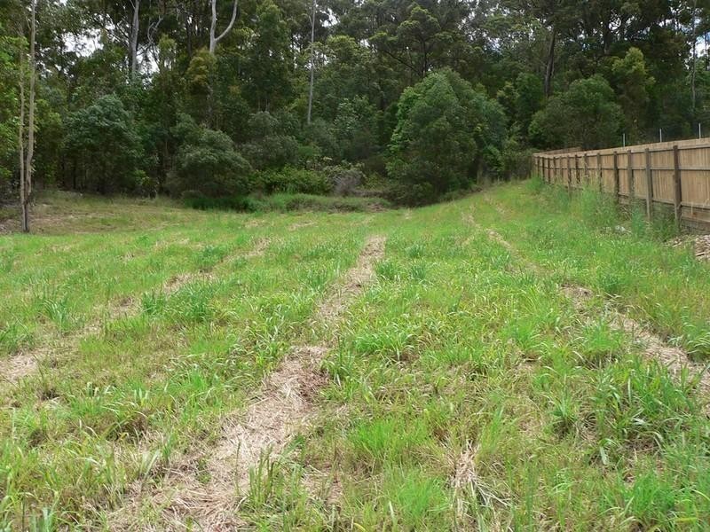 67 Bluetail Crescent, Upper Coomera QLD 4209