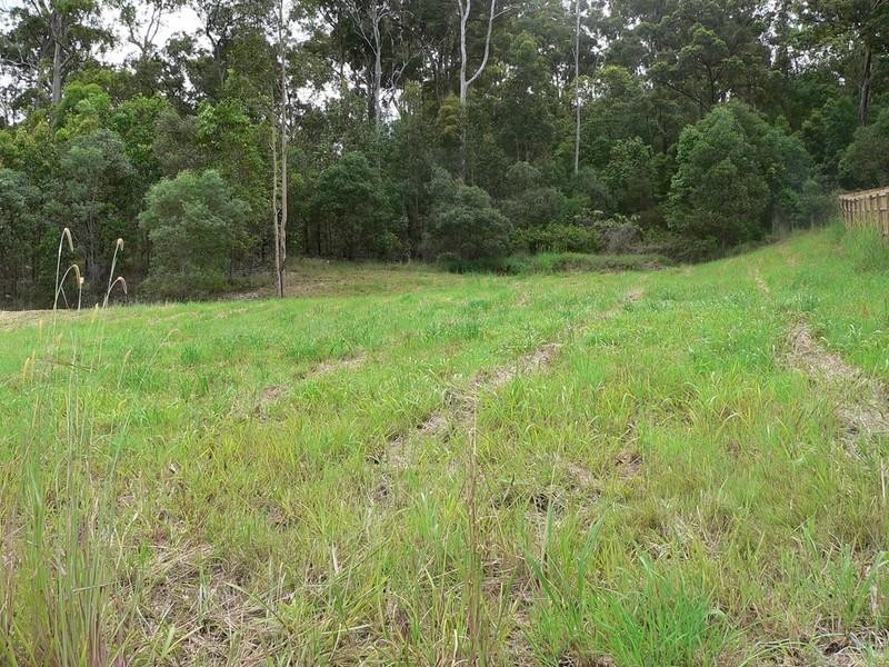 67 Bluetail Crescent, Upper Coomera QLD 4209