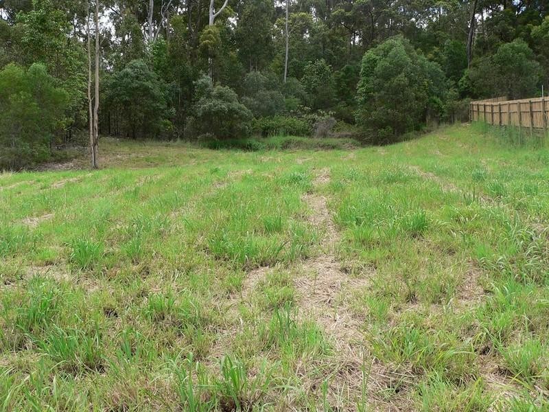 67 Bluetail Crescent, Upper Coomera QLD 4209