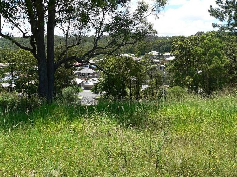 11 Wendy Court, Upper Coomera QLD 4209