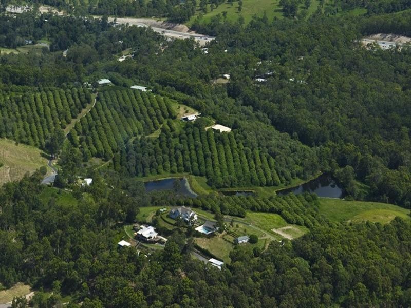 Upper Coomera QLD 4209