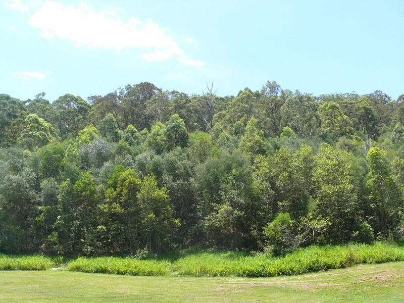 Wongawallan QLD 4210