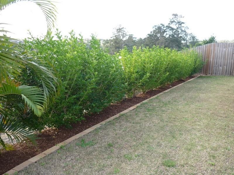 23 Craigs Way, Maudsland QLD 4210