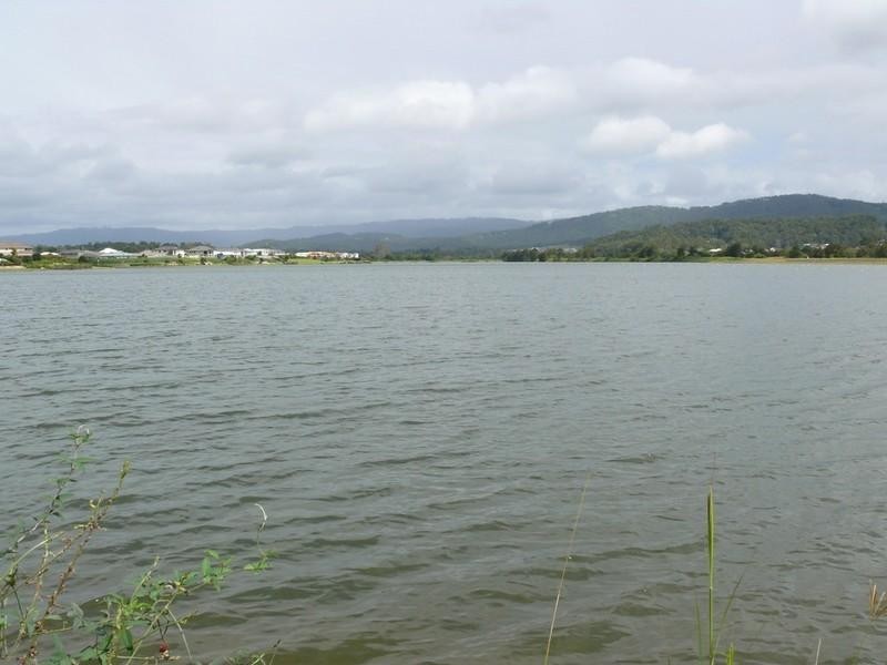 50 Regatta Avenue, Oxenford QLD 4210