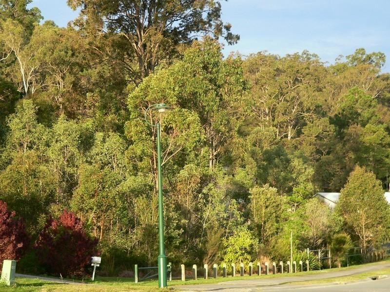 1/1 Portimao Court, Oxenford QLD 4210